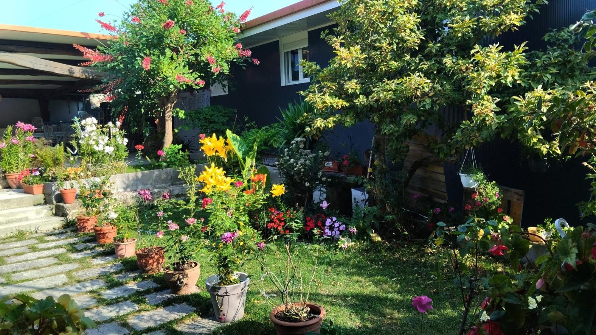 Casa Tito Otel Campo Lameiro Dış mekan fotoğraf